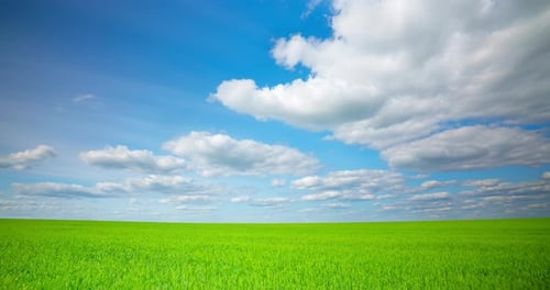 Zeitraffer bewegter Wolken über einer grünen Wiese