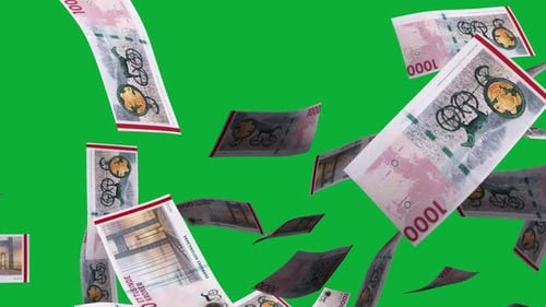 3D animation of Danish krone notes Falling On Green screen