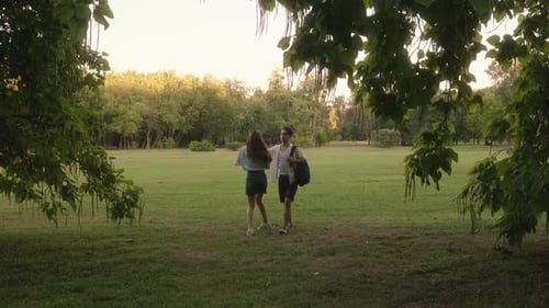 Couple Walking In The Park