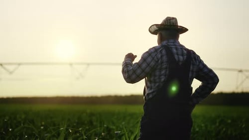 Calm Rural Scenery Old Farmer Admiring Beautiful Agricultural Fields Back View Elderly Agronomist