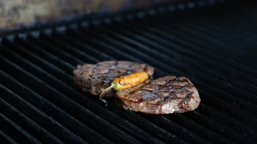 Steak and Pepper Grilling