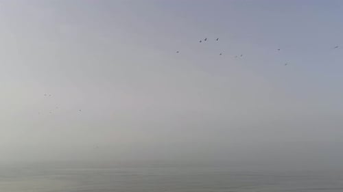 Ein Vogelschwarm während der Frühjahrswanderung über der offenen, nebligen Nordsee