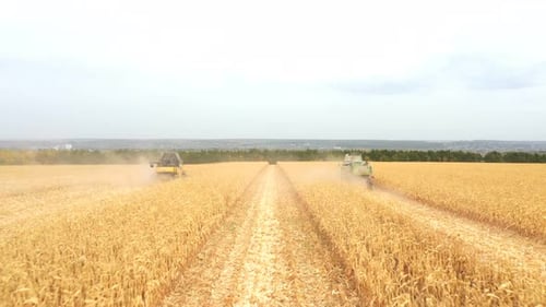 Aerial View of Combine Harvesters Working in Wheat Field