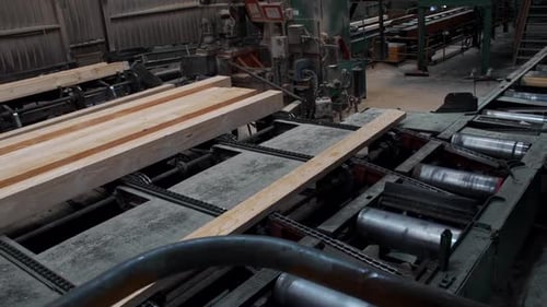 Vue intérieure d'une scierie moderne où les arbres sont coupés pour en faire du bois, panoramique à gauche