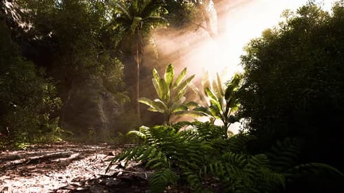 Lush Tropical Jungle with Volumetric Sunlight and Gentle Camera Movement