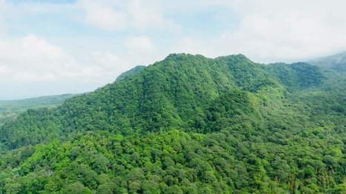 Drone view of natural green mountain on forest landscape