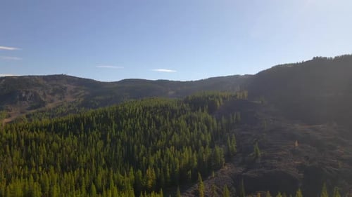 Luftaufnahme eines ruhigen Waldes in den Cascade Mountains, USA