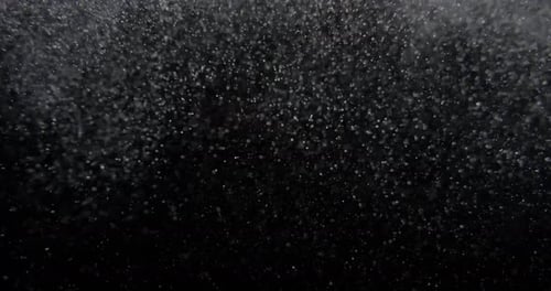 Natural Organic Dust Particles Floating On Black Screen Dynamic Randomly Float In Space