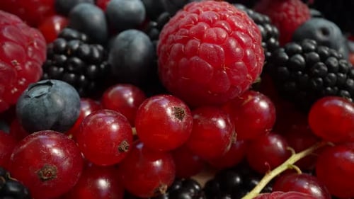 Close Up of Fresh Mixed Berries: Raspberry, Blueberry
