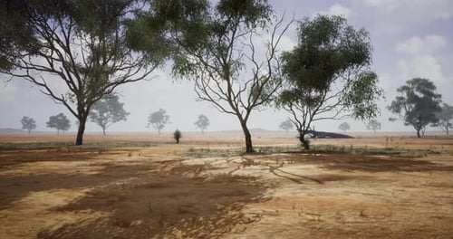 Moving Through a Dry Arid Landscape with Trees