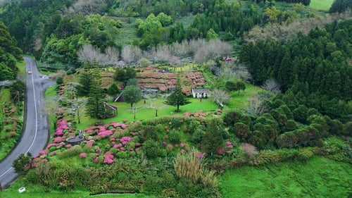Hillside Roadway Running Forest Nature Drone View Gloomy Weather Green Fields