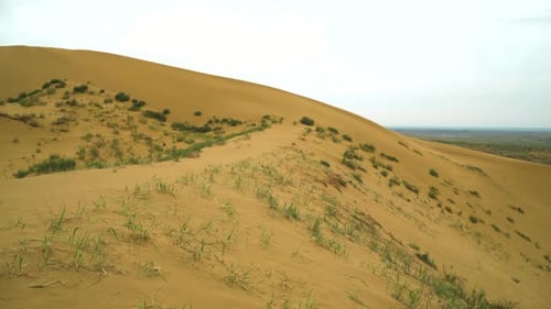 Sarykum est la plus grande dune de sable d'Europe. Réserve naturelle du Daghestan (dune de sable du Caucase)