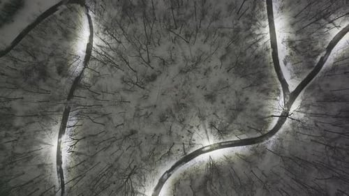 Serene Aerial View of Snowy Trees and Roads in Meadowvale, Ontario