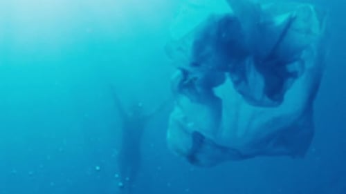 Una bolsa de plástico flota en el océano bajo el agua
