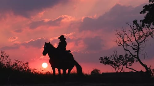 Cowboy Silhouette on Rearing Horse at Sunset
