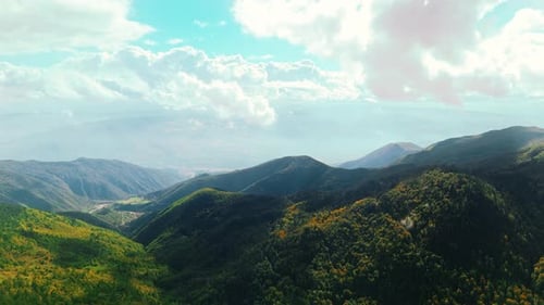 Partly Cloudy Autumn Forest Landscape 4k
