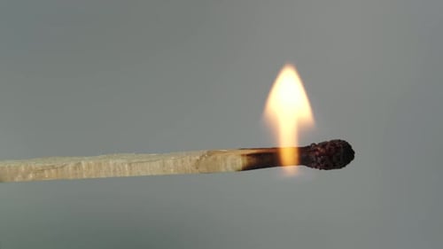 Igniting match, fire burning wood stick slowly and black ashes shrinking, concept Macro Shot