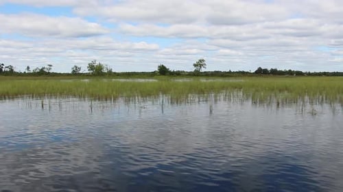 Landschaftsschönheit des Grases am Flussufer mit bewölktem Himmel darüber — Weitwinkelaufnahme