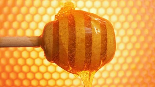 Honeycombs and Bee Honey