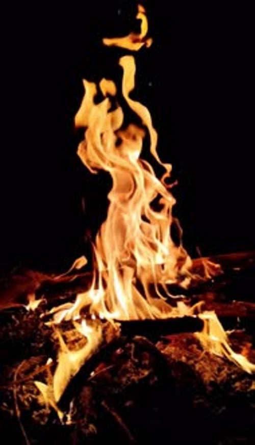 Dynamic Footage of a Bonfire Against Black Backdrop
