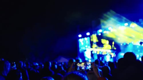 Excited Crowd Enjoying Concert at Night