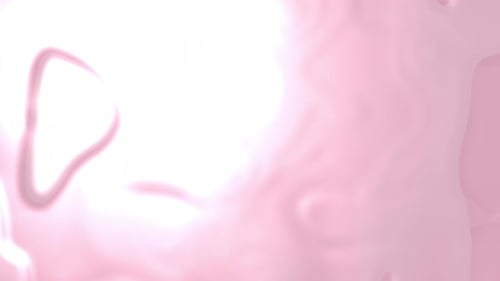 Animation de fond en dégradé fluide rose : lumière douce, mouvement subtil