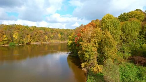 Splendid nature in diverse color pallet on autumn season.