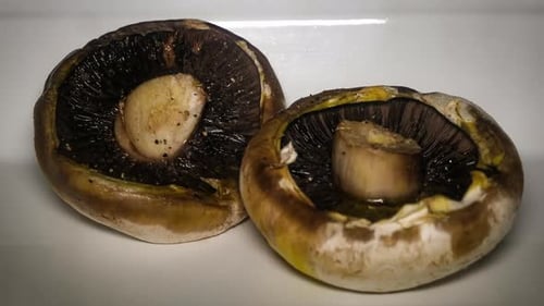 Champignons des champs plats rôtis à l'huile d'olive au four, capturés en accéléré.