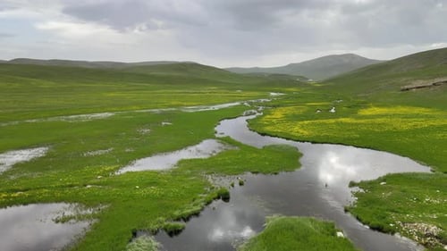 spring river nature