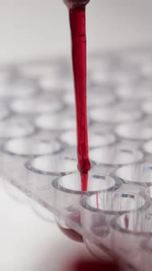 Macro of Blood Being Dripped into Small Wells of Plastic Laboratory Test Plate