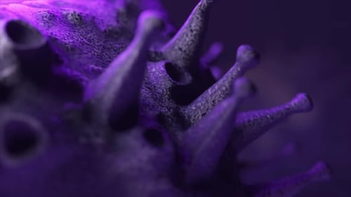 Hepatitis Virus Infection Close Up