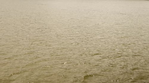 Wunderschöne natürliche Ansicht einer Fokuslinse, Bewegung, Meer