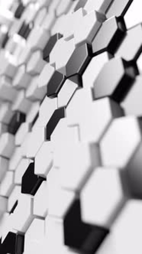 Black and white hexagonal background. Vertical looped animation