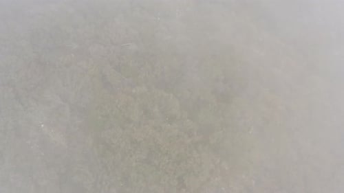 Drone slowly closing up to bushes on the mountain slope. Aerial close up view of a mountain slope in