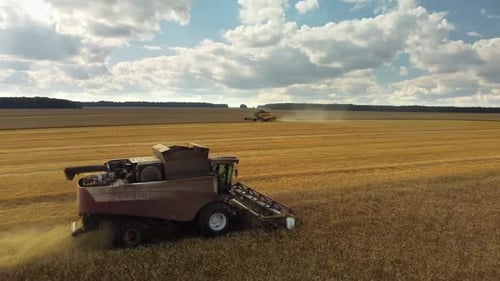 Harvester Machine to Harvest Wheat Field Working