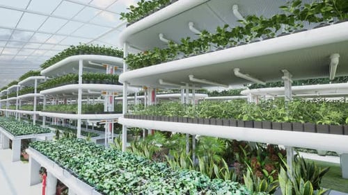 Modern Vertical Farm Greenhouse for Sustainable Agriculture Technology