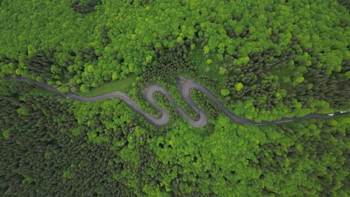 Caminho da cobra nas montanhas 4k