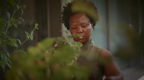 Nurturing Nature A Gardeners Deep Passion and Devotion for Various Plants and Flora