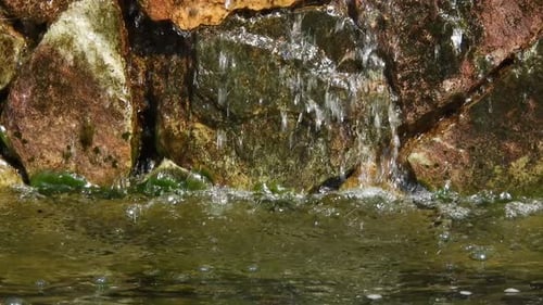 Relaxing water lily pond with rock waterfall of clean water drops spilling and running over the edge