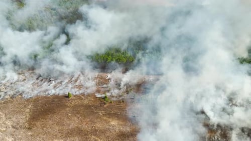 Aerial View of White Smoke From Forest Fire Rising Up Polluting Atmosphere