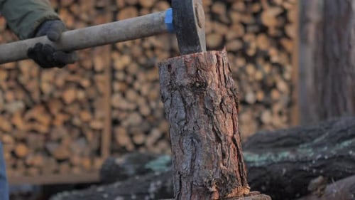 Ax Chopping Wood Log in Rural Setting