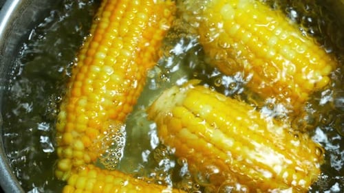 Corn on the Cob Boiling in Pot