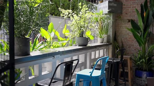 Cozy Coffee Shop Ambiance: A Tranquil Retreat with a Balcony Garden Bathed in Sunlight