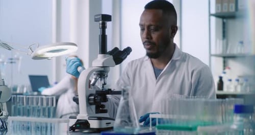Scientist Inspecting Samples Under Microscope in Laboratory