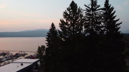 Revela una foto tomada con un dron del lago Payette y el puerto deportivo al atardecer desde detrás de un enorme pino. Esta maravilla