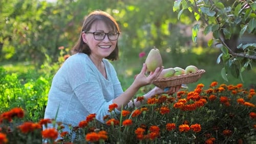 Portrait of Smiling Woman in Fruit Orchard with Ripe Pears