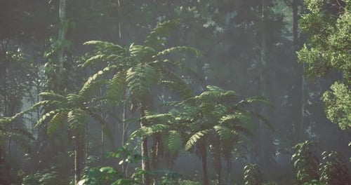 Lush Tropical Jungle Fly Through Background Animation
