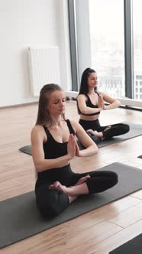 Women Practicing Yoga Poses in a Bright Indoor Studio