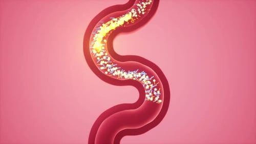 3D Medical Animation of Microscopic Cells and Bacteria in a Vessel