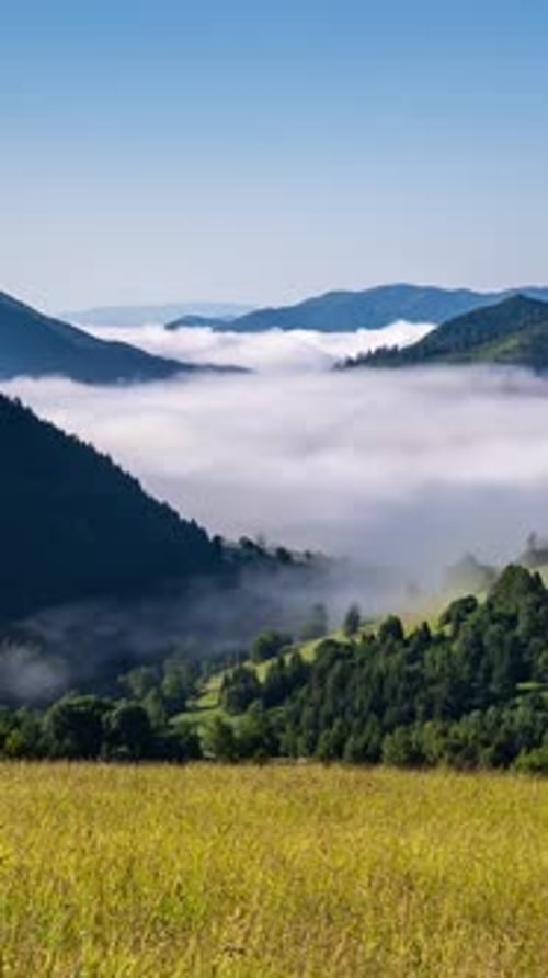 Fog Moving Through Mountain Valley in Sunny Landscape